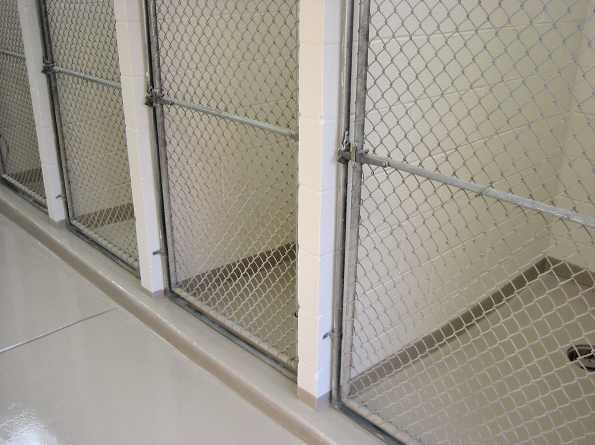 Wall Coatings 3
