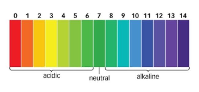 How Does PH Affect Polymer Coatings Ability To Adhere? » Thermal-Chem